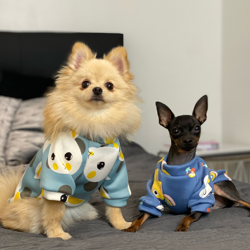 Xs Hundekleidung für kleine Hu – Winter Clothing For Boys Bewertung und Preis