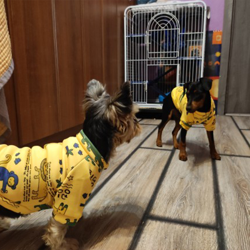 Xs Hundekleidung für kleine Hu – Winter Clothing For Boys Bewertung und Preis